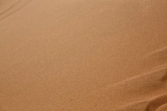 Kasino Bingo Millionaire Tuki